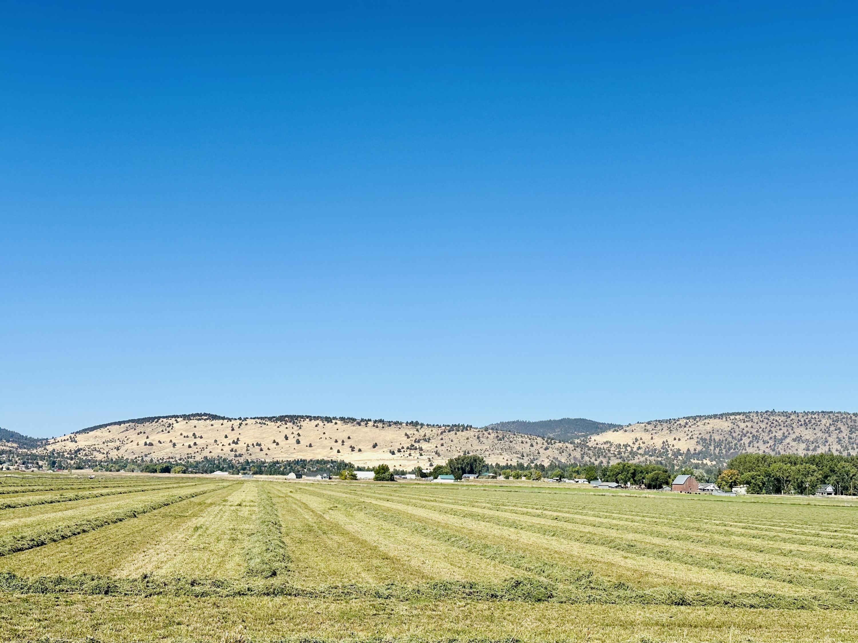 Rolling Hills - Land