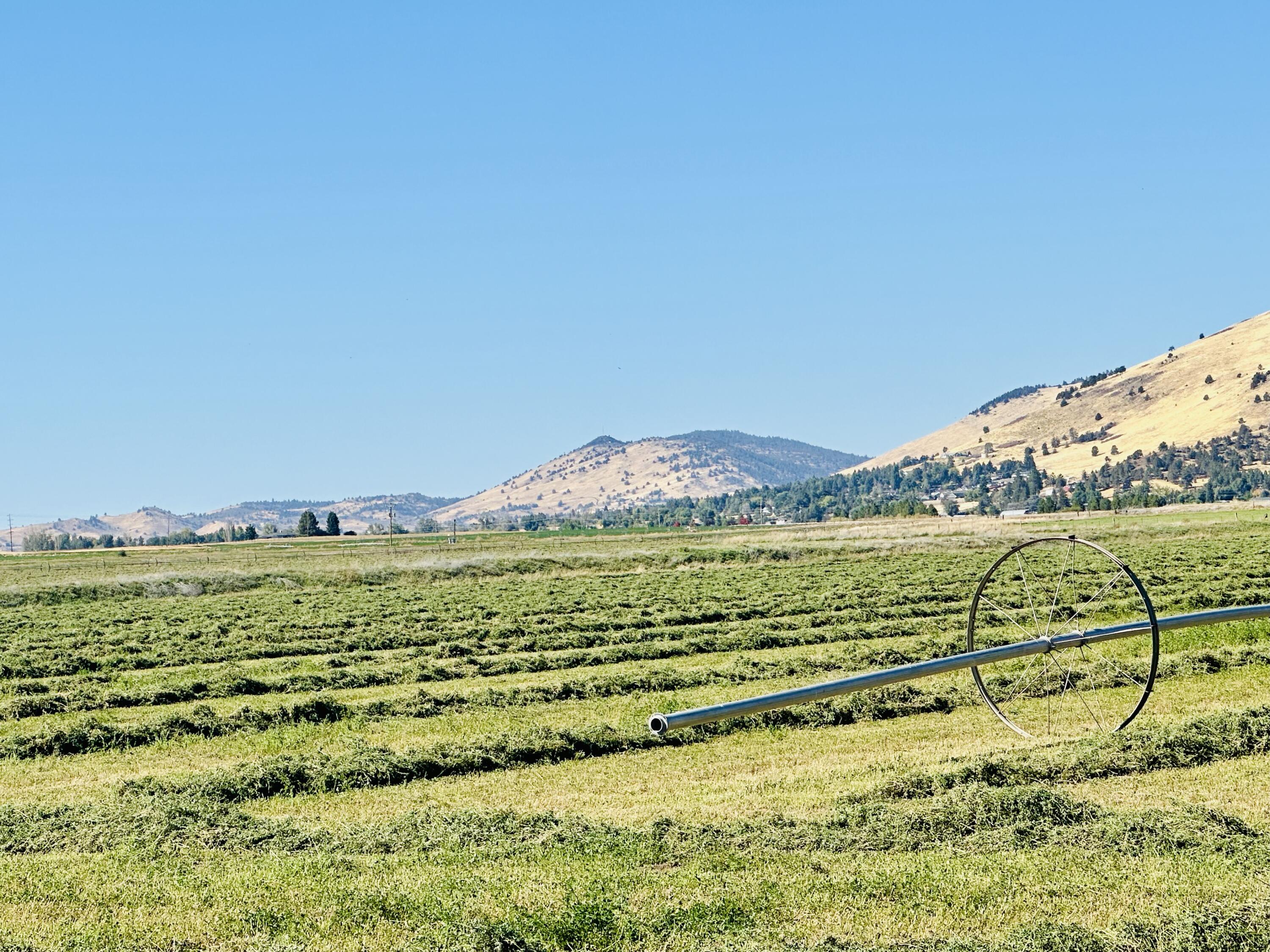 Rolling Hills - Land