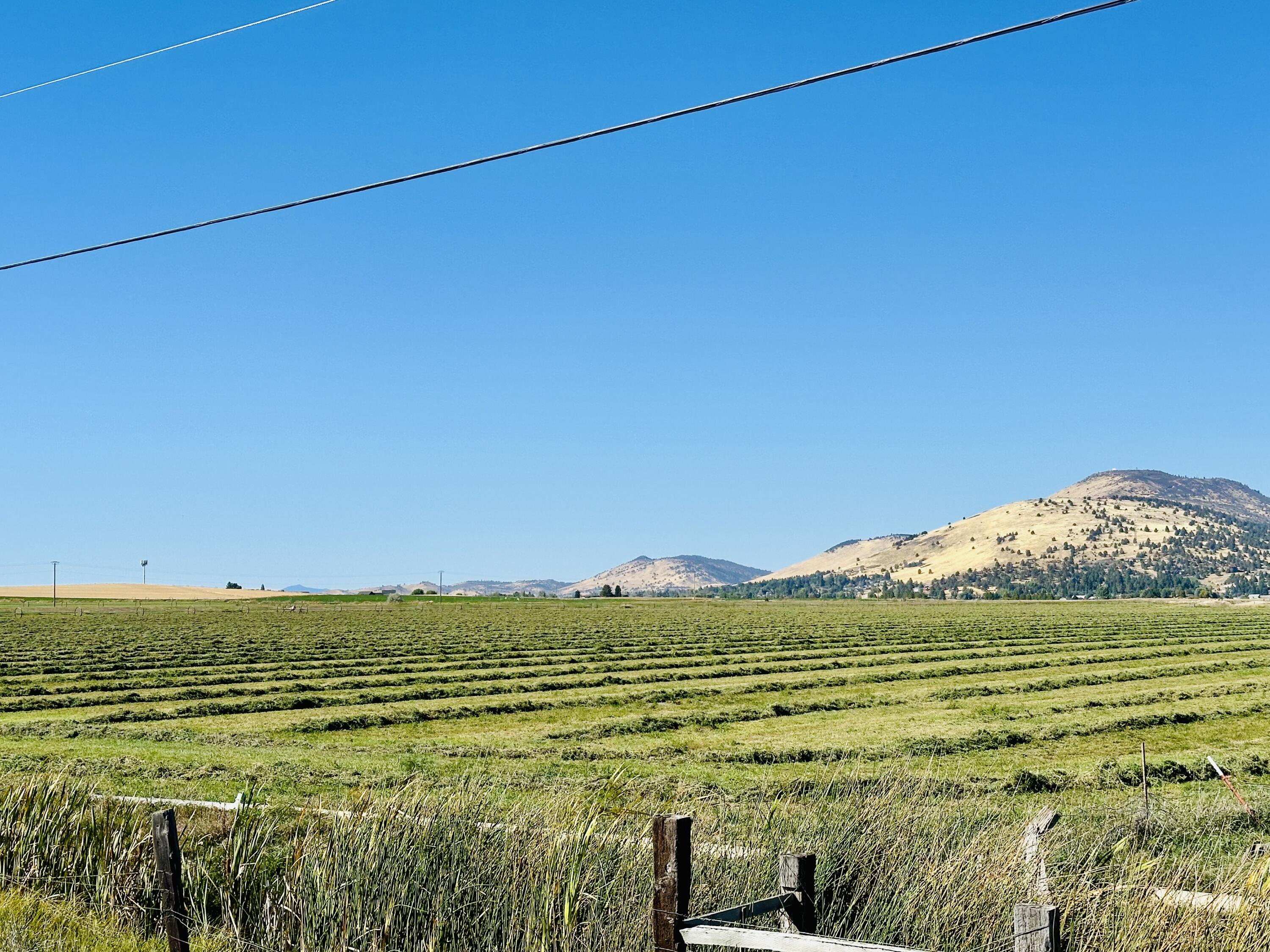 Rolling Hills - Land