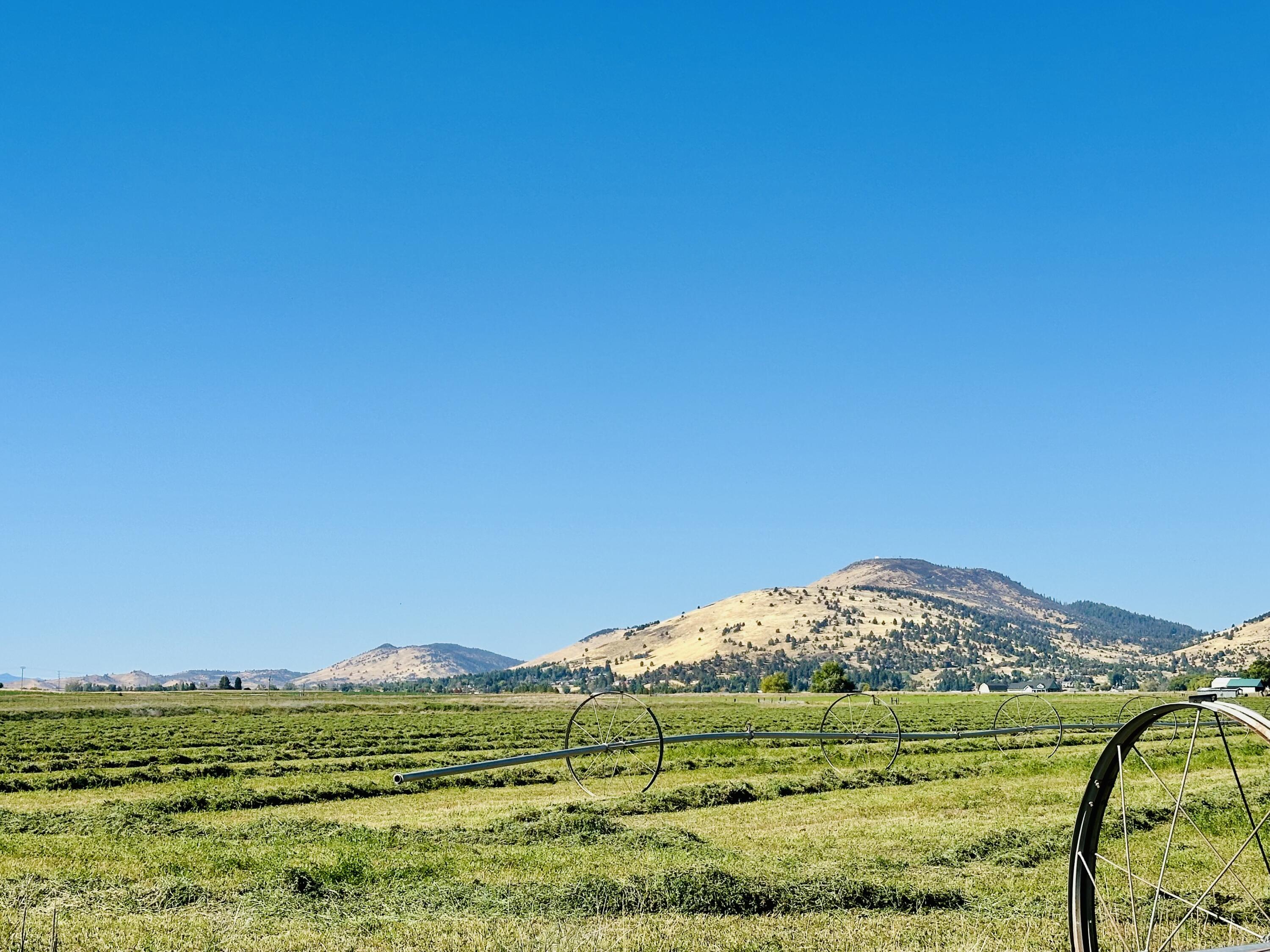 Rolling Hills - Land