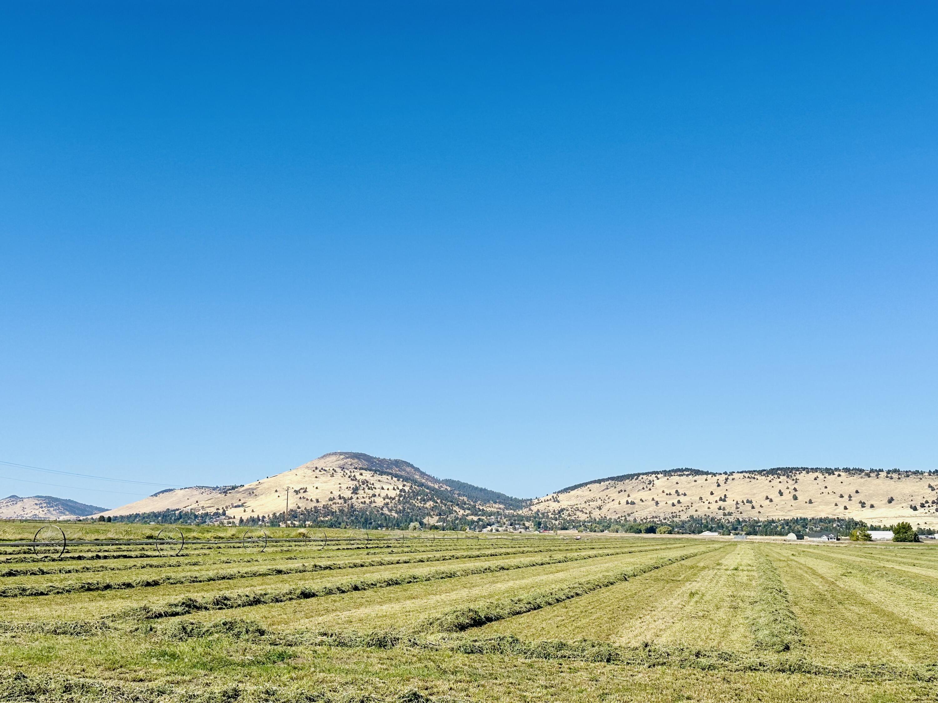 Rolling Hills - Land