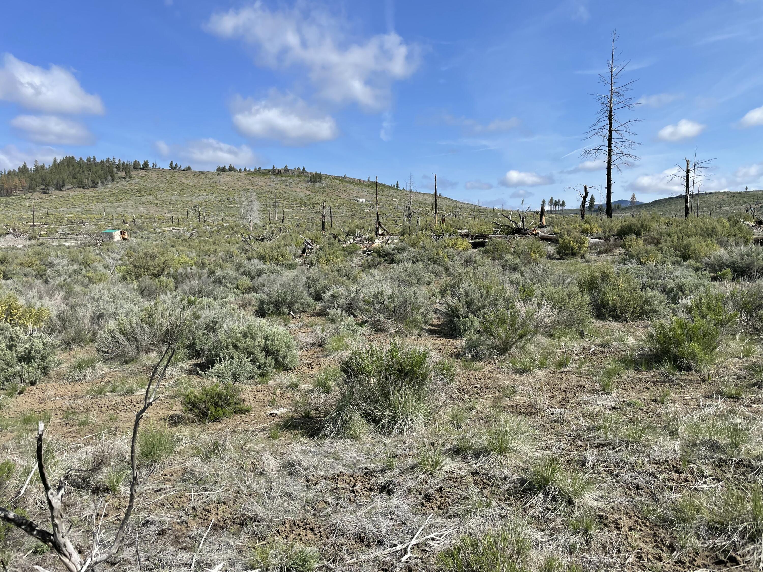Klamath Forest Estates - Land