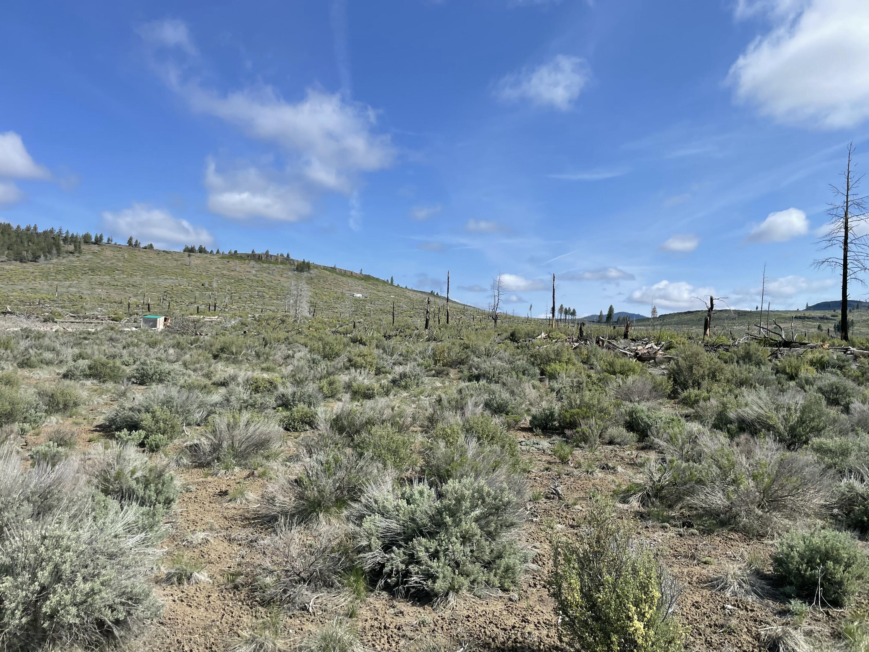 Klamath Forest Estates - Land