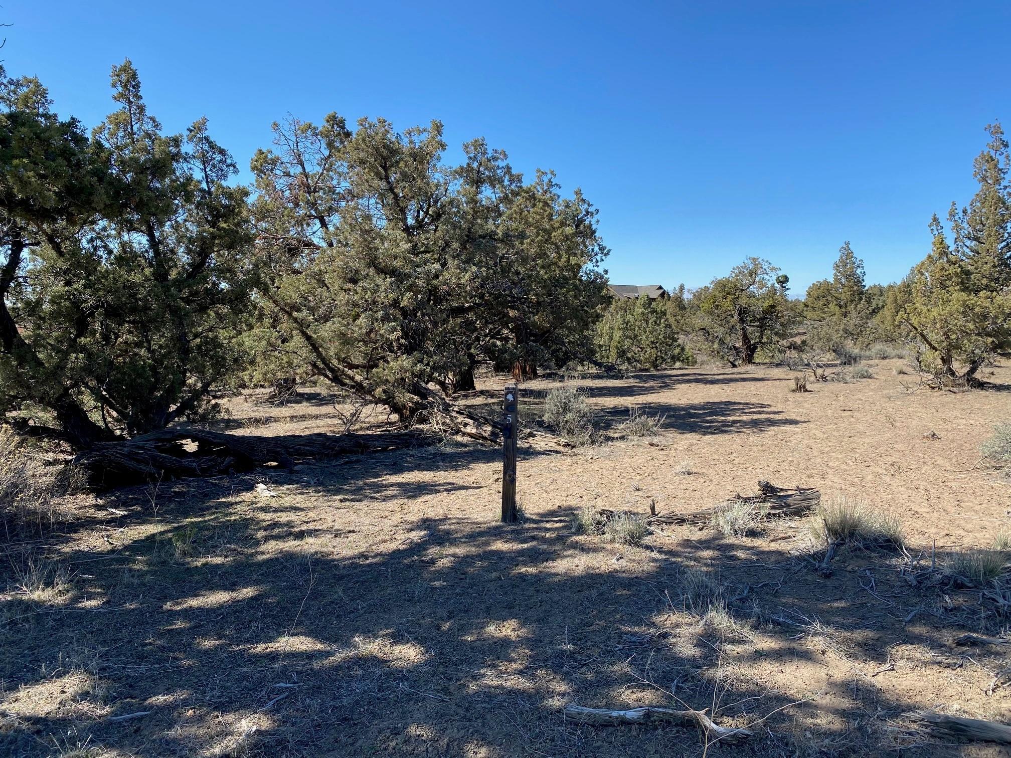 Vaqueros Way Homesite 5