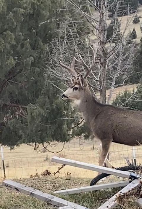 Tiny photo for 58400 4-K Overlook Lane, John Day, OR 97845 (MLS # 220215444)