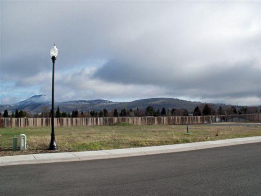 Custom Home Area. This Beautiful Building Lot Is Just Waiting For The Plans Of Your Dream Home. Located In The South Suburbs With Easy Access To The Southside Expressway.