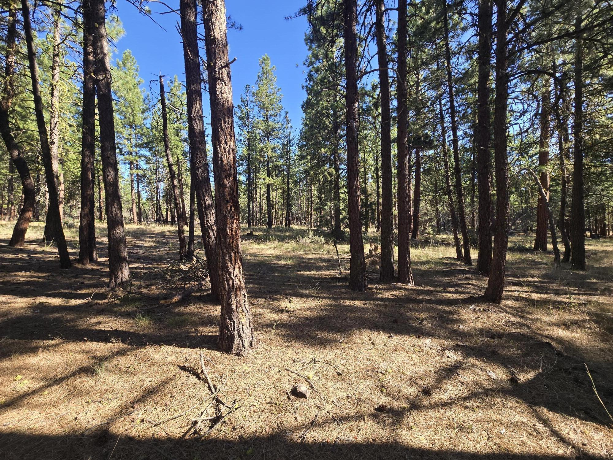 Klamath Falls Forest Estates -Hwy 66 Unit -Plat No. 1 - Residential