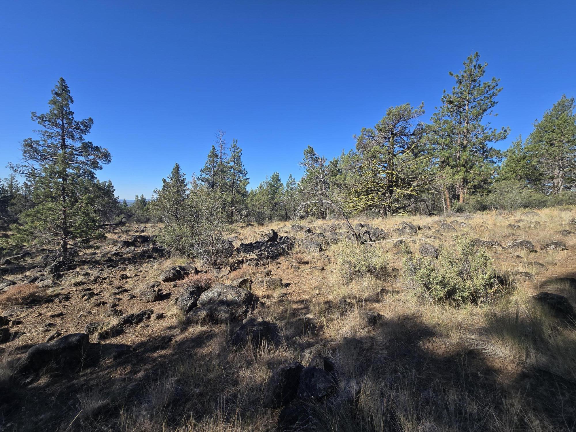 Klamath Falls Forest Estates -Hwy 66 Unit -Plat No. 1 - Residential