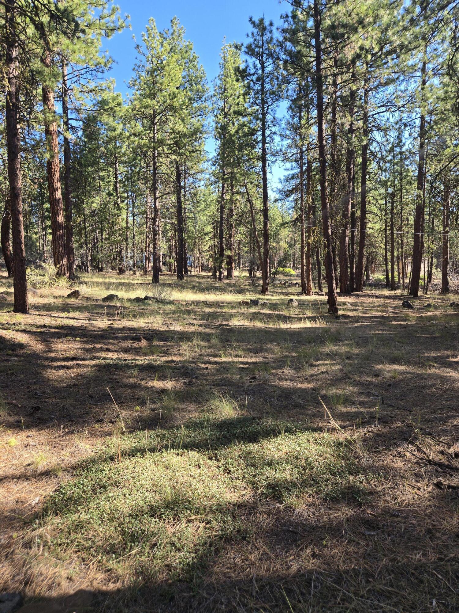 Klamath Falls Forest Estates -Hwy 66 Unit -Plat No. 1 - Residential