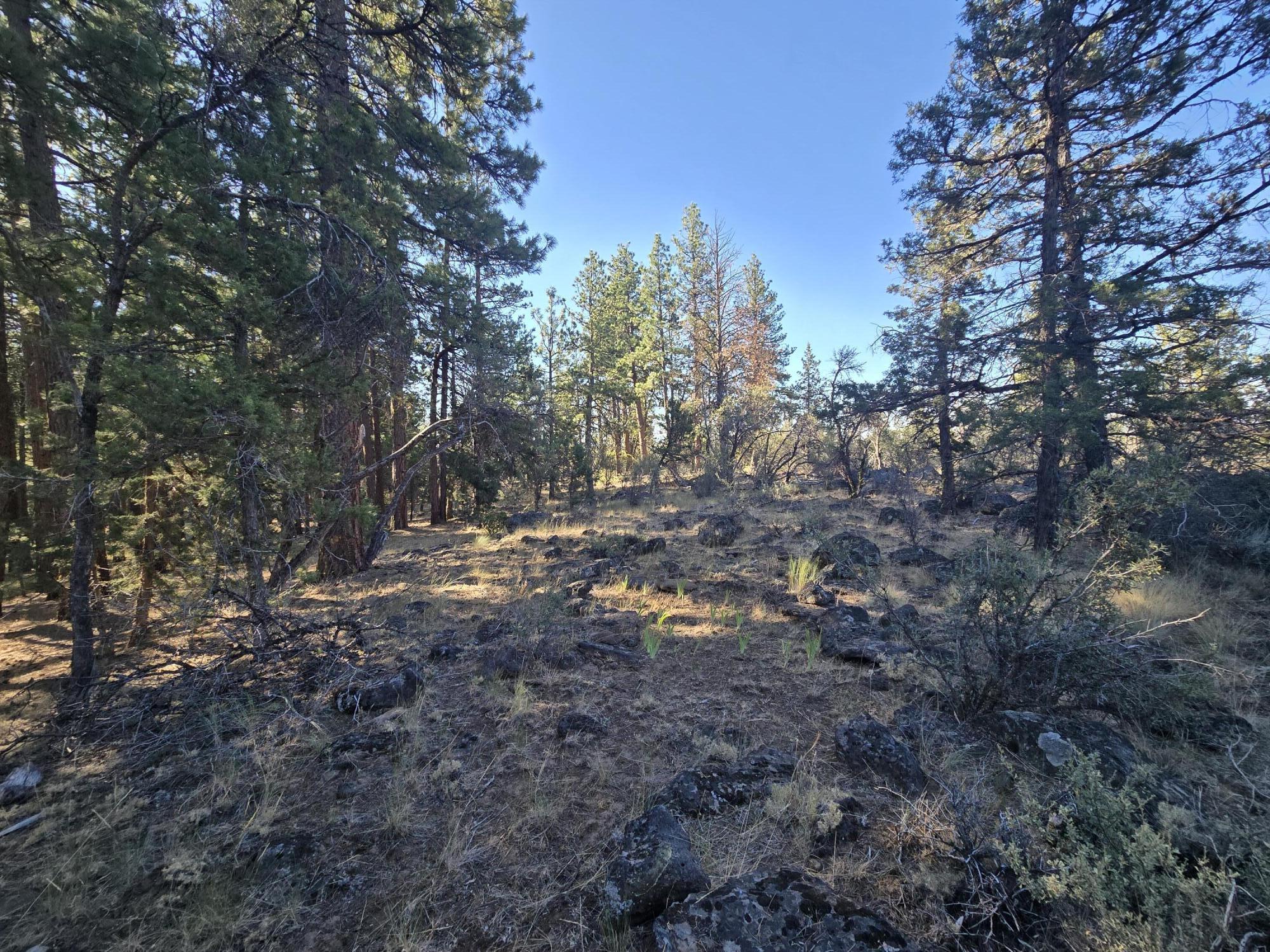 Klamath Falls Forest Estates -Hwy 66 Unit -Plat No. 1 - Residential
