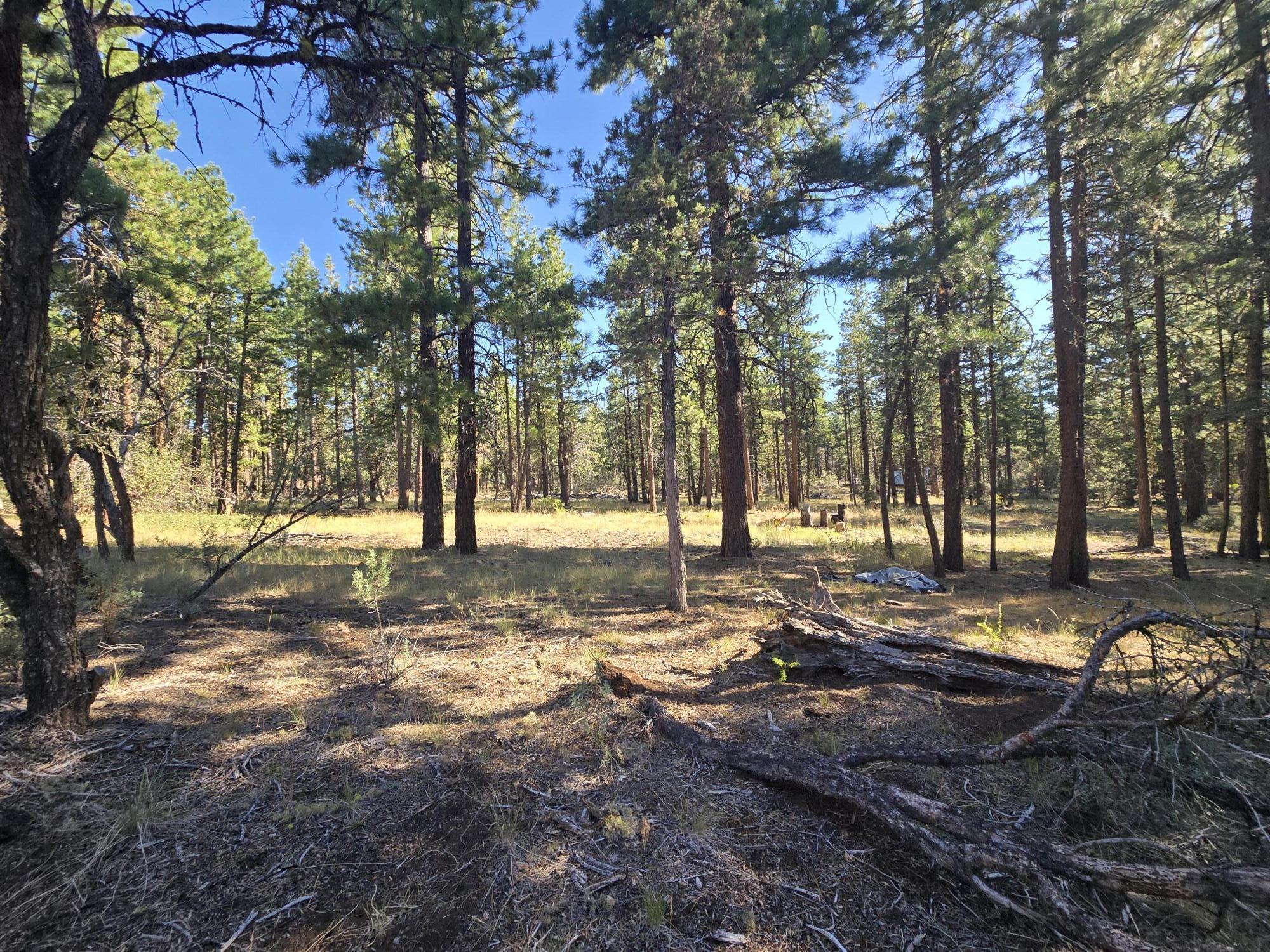 Klamath Falls Forest Estates -Hwy 66 Unit -Plat No. 1 - Residential