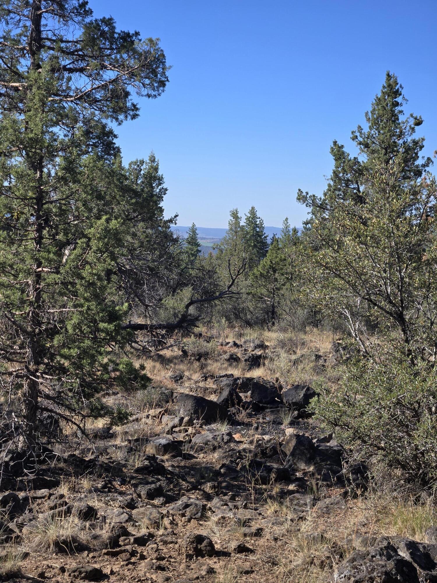 Klamath Falls Forest Estates -Hwy 66 Unit -Plat No. 1 - Residential