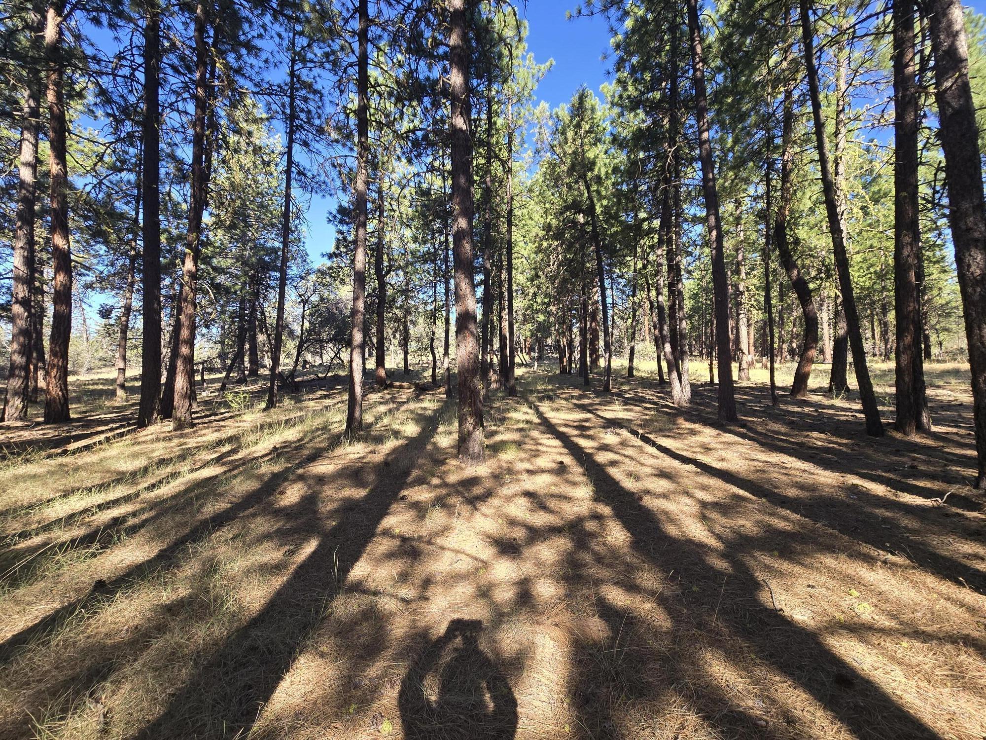 Klamath Falls Forest Estates -Hwy 66 Unit -Plat No. 1 - Residential