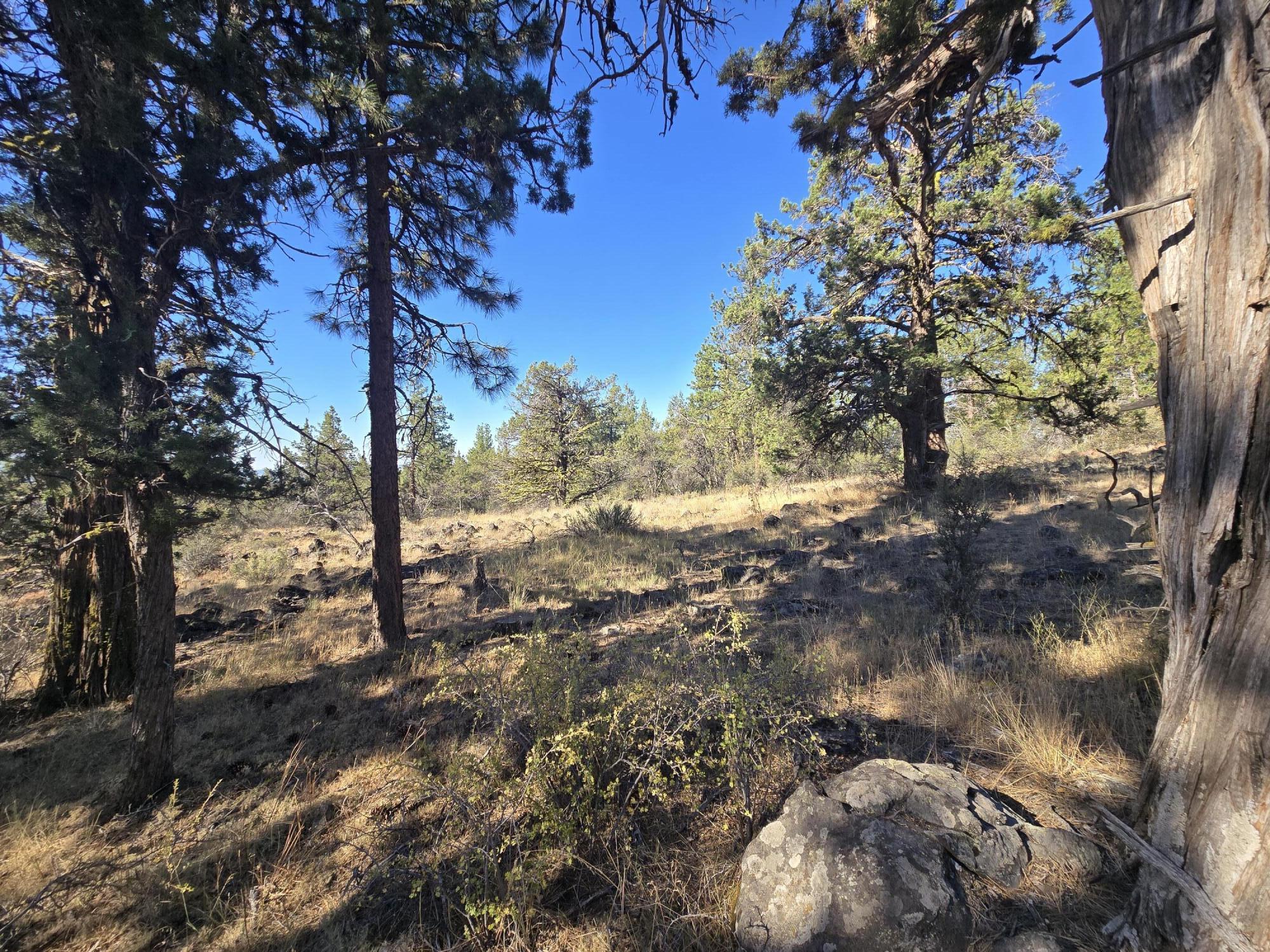 Klamath Falls Forest Estates -Hwy 66 Unit -Plat No. 1 - Residential