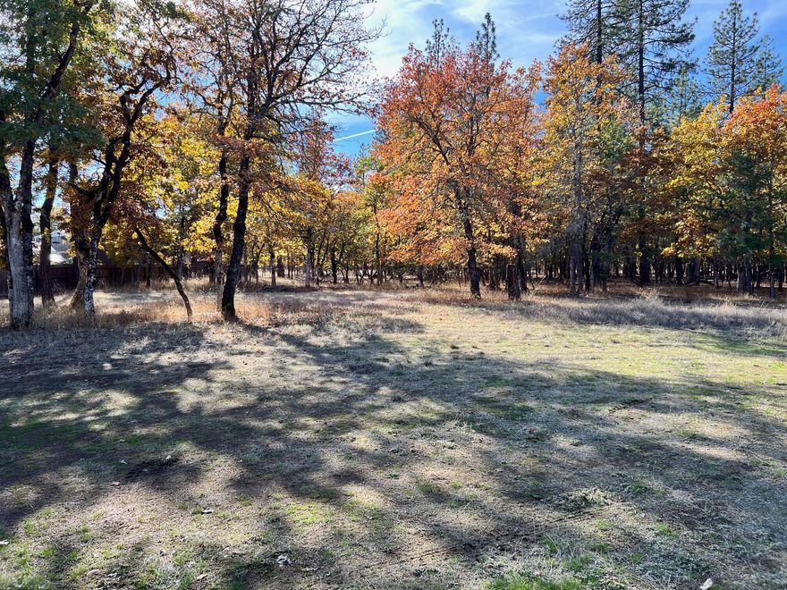 Prime opportunity on a .93-acre level building lot, perfect for your dream home or hangar! Situated adjacent to a private airstrip, this property is ideal for aviation enthusiasts searching for easy access and convenience. Equipped with a good well, providing a reliable water source. Enjoy the tranquility of this location with the advantage of open skies and seamless connectivity to the airstrip. Don't miss out on this rare blend of privacy and accessibility! Listing agent is related to Seller.