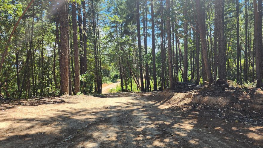 Beautifully treed five acres offering many potential building sites and privacy.  Country living while having shopping, banking, and service station not too far away.  The photo of the pads are for information/directions only...the property starts just beyond them.