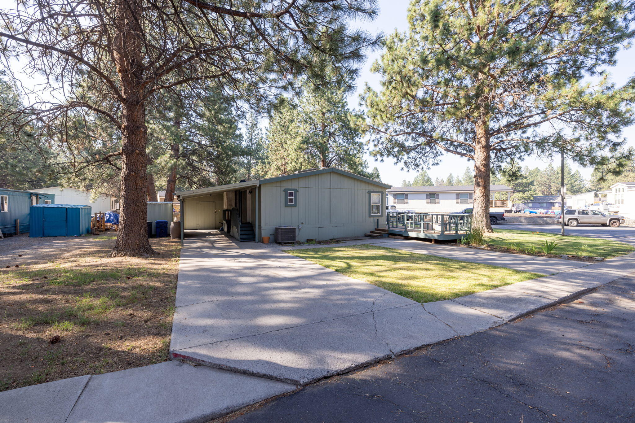 The Pines - Residential