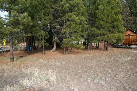 Tiny photo for 61207 Mokas Court, Bly, OR 97622 (MLS # 220211577)