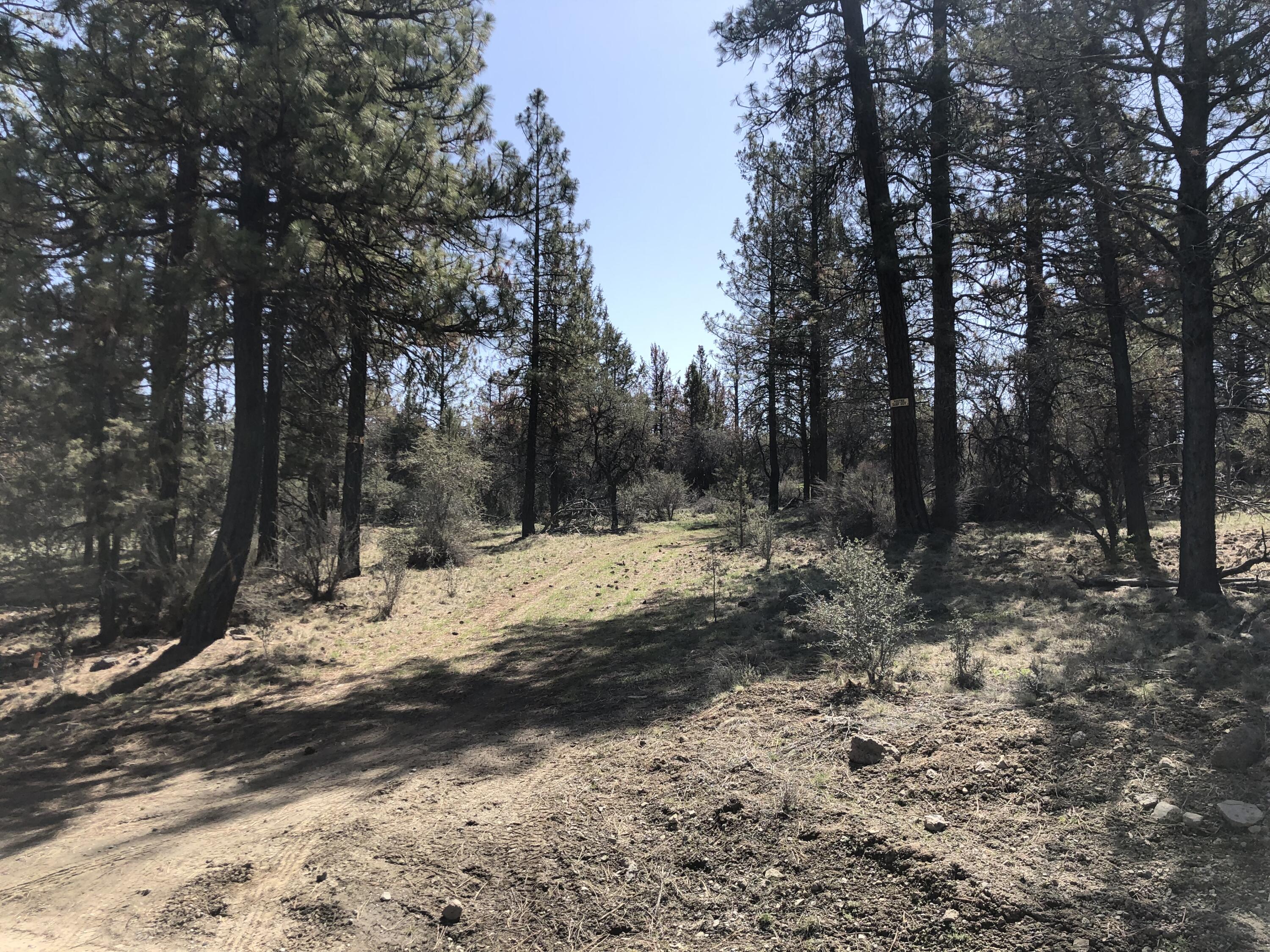 Klamath Falls Forest Estates Hwy 66 Unit Plat 4 - Land
