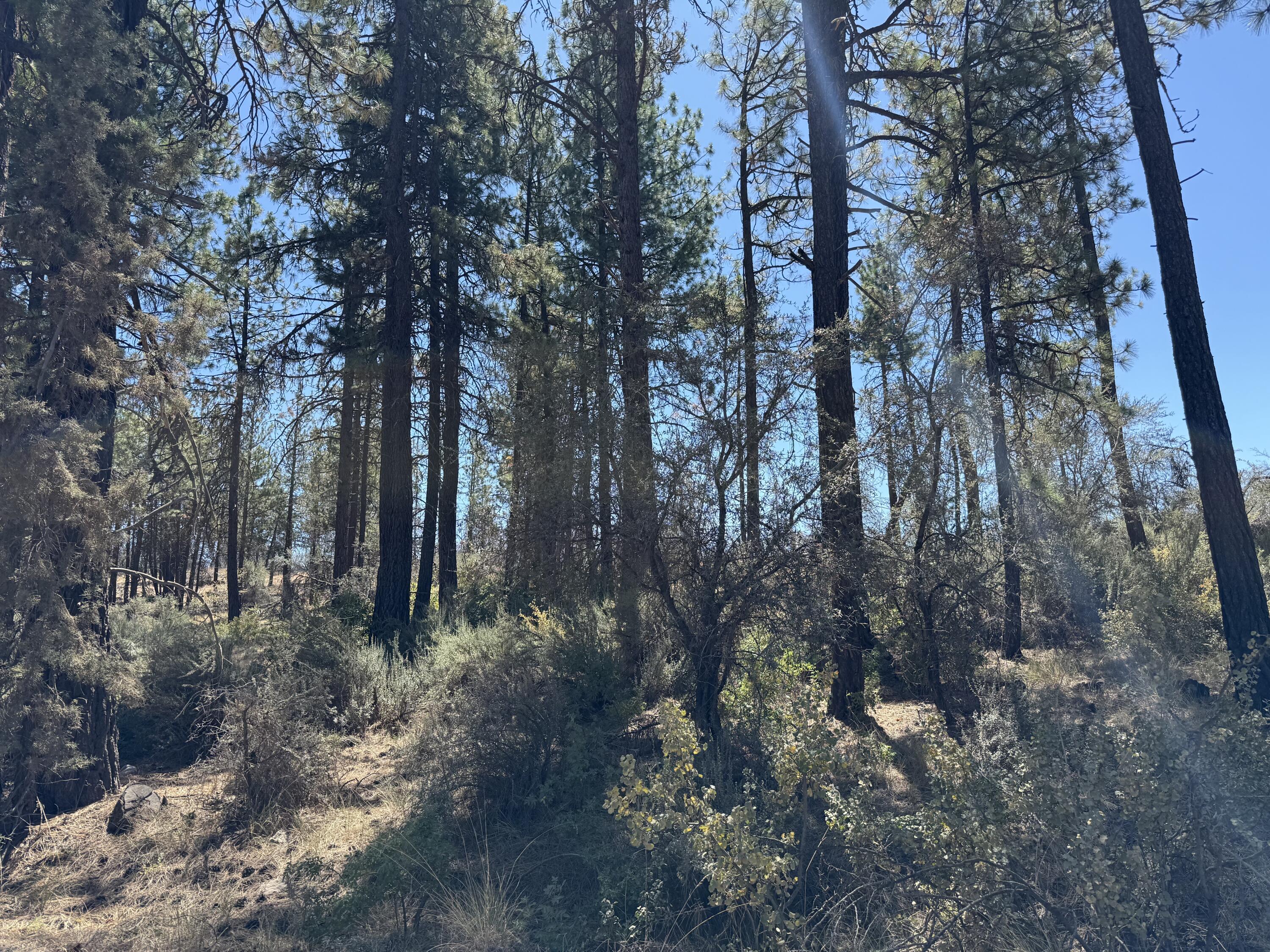 Klamath Falls Forest Estates Hwy 66 Unit Plat 4 - Land