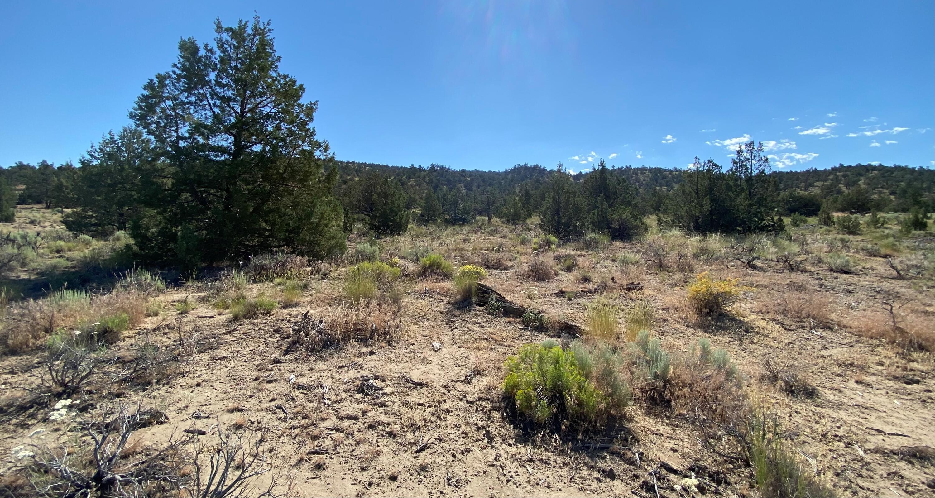 SW Hat Rock Loop