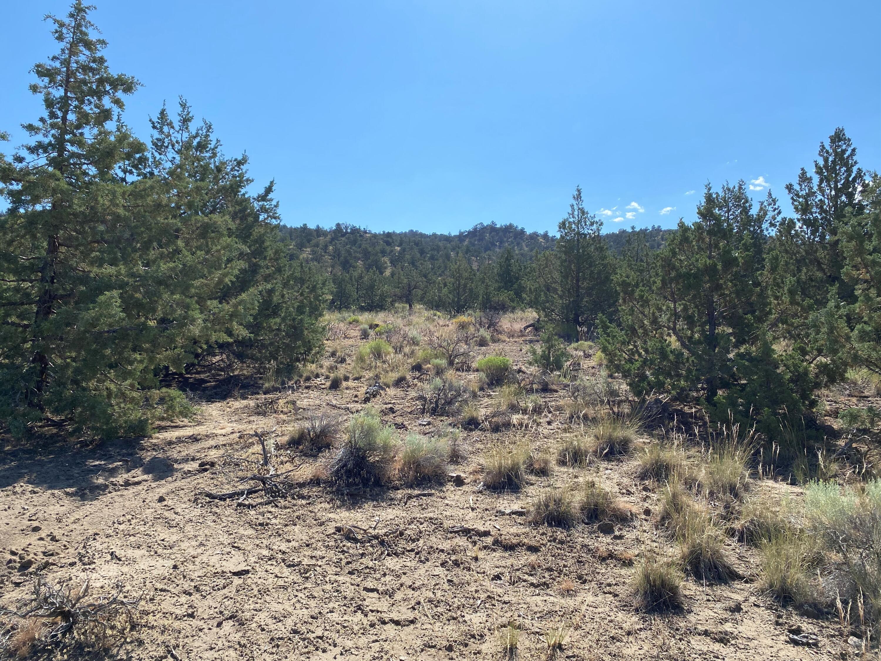 SW Hat Rock Loop