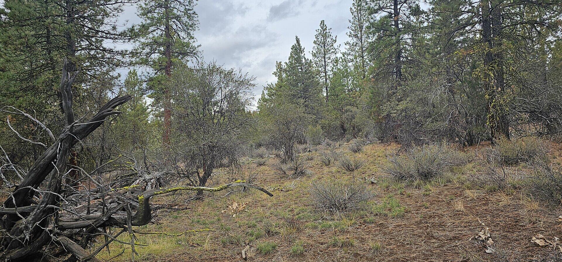 Klamath Falls Forest Estates Hwy 66 Unit Plat 4 - Land