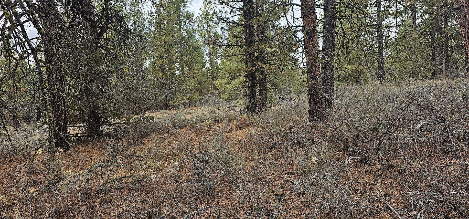 Klamath Falls Forest Estates Hwy 66 Unit Plat 4 - Land