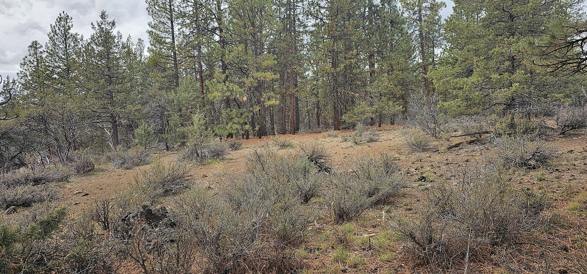 Klamath Falls Forest Estates Hwy 66 Unit Plat 4 - Land