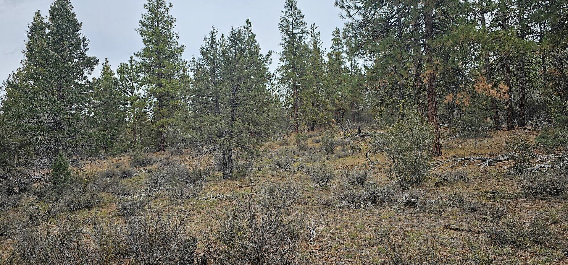Klamath Falls Forest Estates Hwy 66 Unit Plat 4 - Land