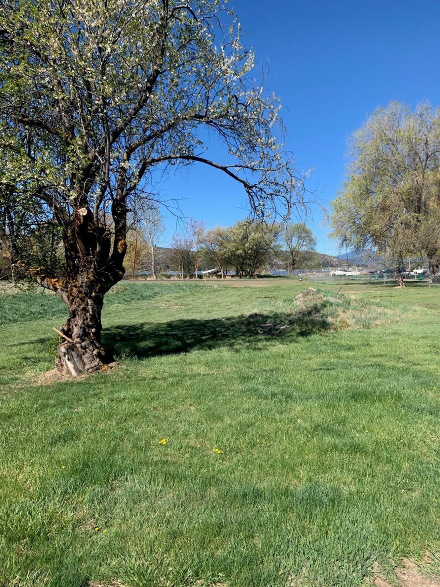 Build your home in this peaceful, sought-after neighborhood. You'll be steps away from Pelican Marina, Klamath Falls Yacht Club, Harbor Isle Fitness Center and an 18 hole golf course and  clubhouse restaurant. You'll never want to leave!
Possibility of building a duplex and receiving rental income to contribute to your mortgage payment (Buyer to do due diligence with the city of K.Falls).  PLUS, it has a lake view and great bird watching!