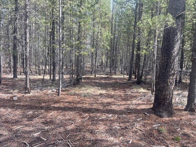 Bend, Oregon 97707, United States, ,Land,Pending,105186