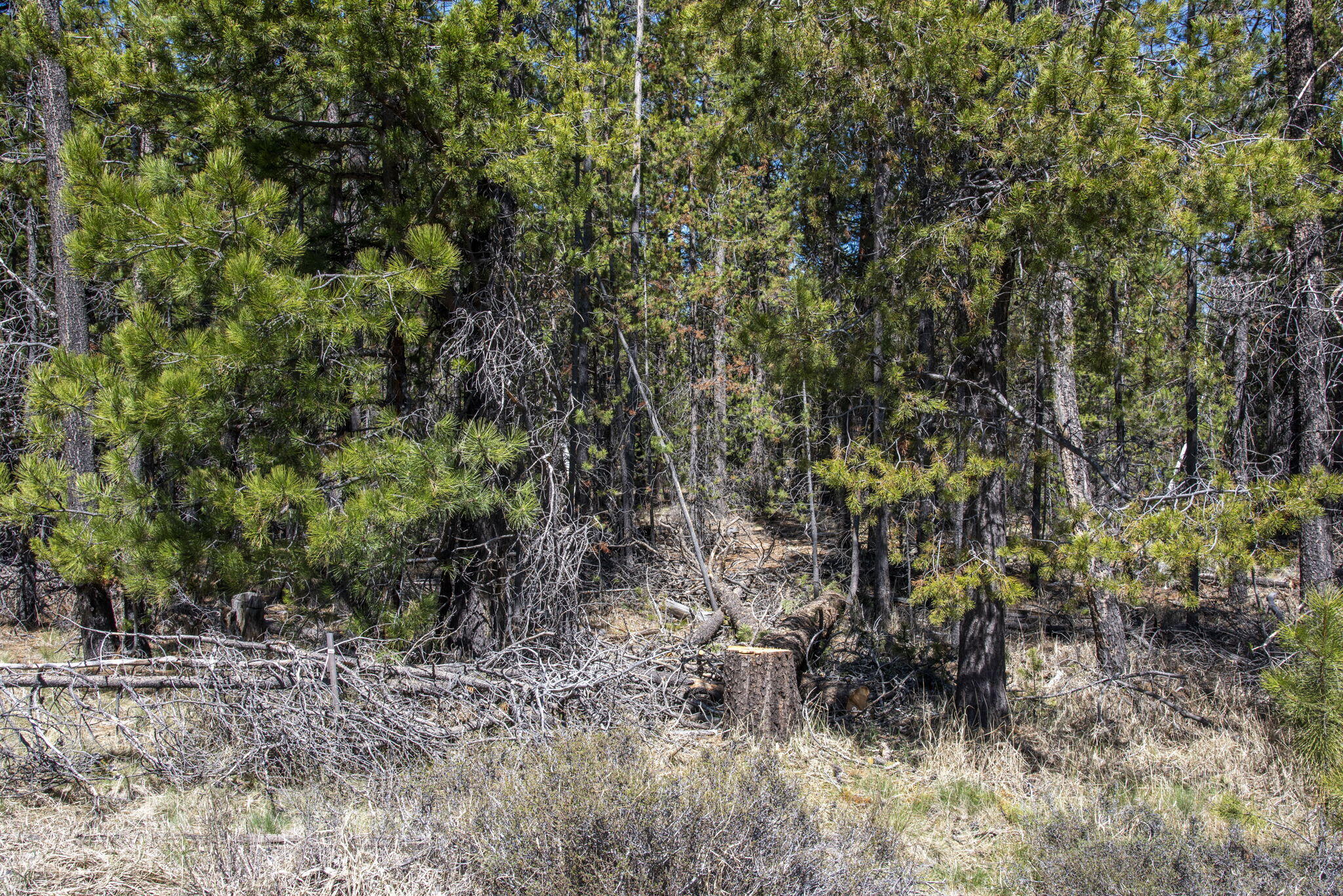 Bend, Oregon 97707, United States, ,Land,Pending,105186