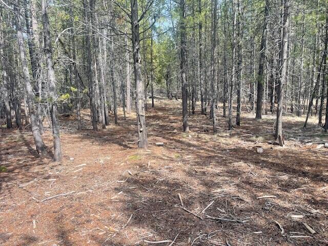 Bend, Oregon 97707, United States, ,Land,Pending,105186