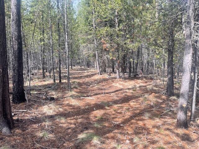 Bend, Oregon 97707, United States, ,Land,Pending,105186