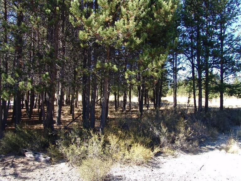 Split Rail Ranchos - Land