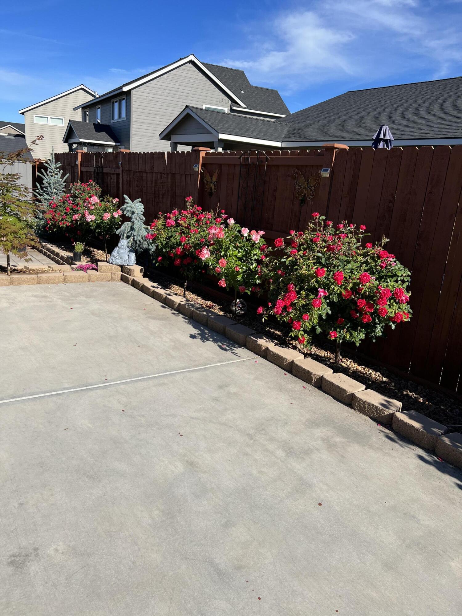 Megan Park - Residential