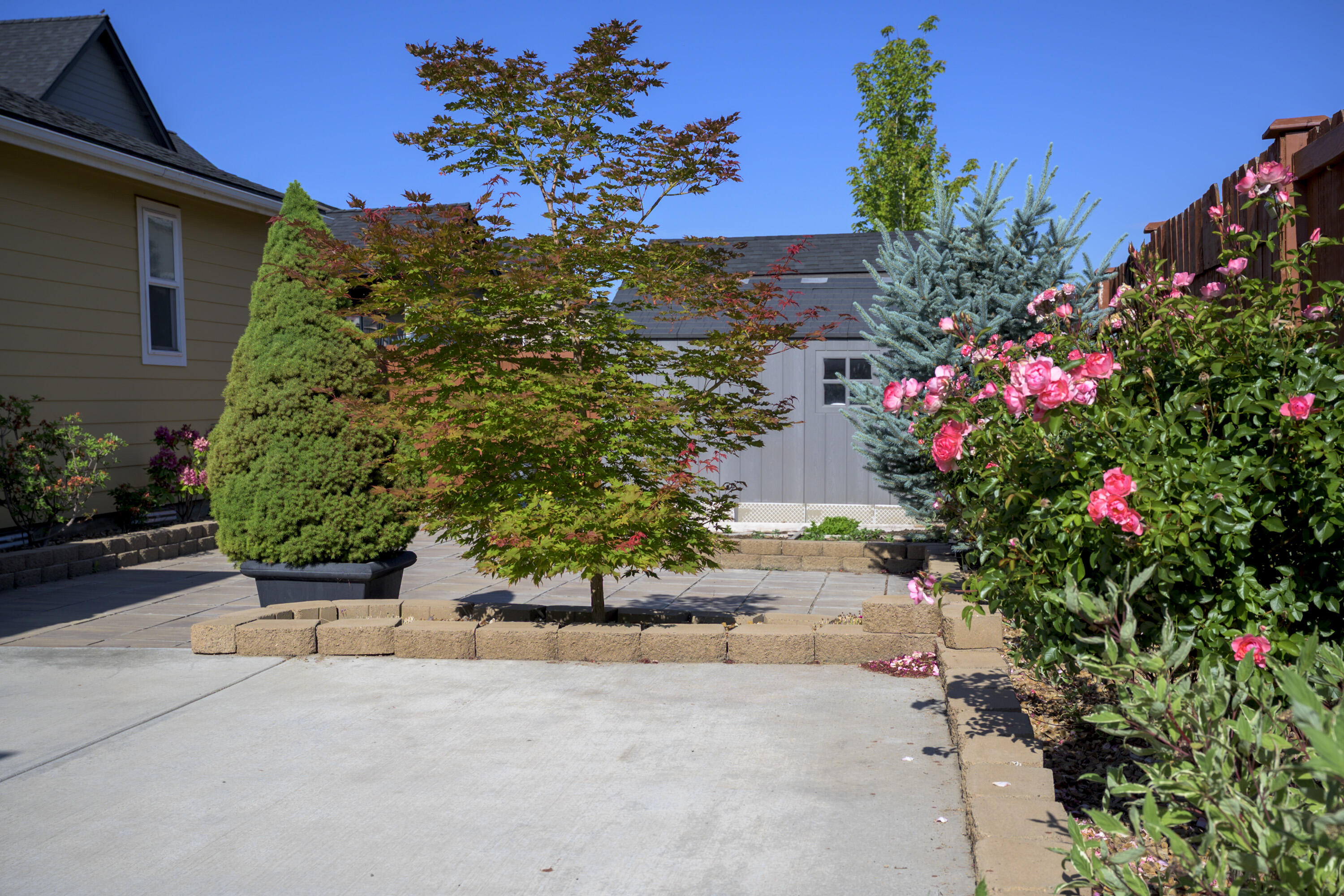 Megan Park - Residential