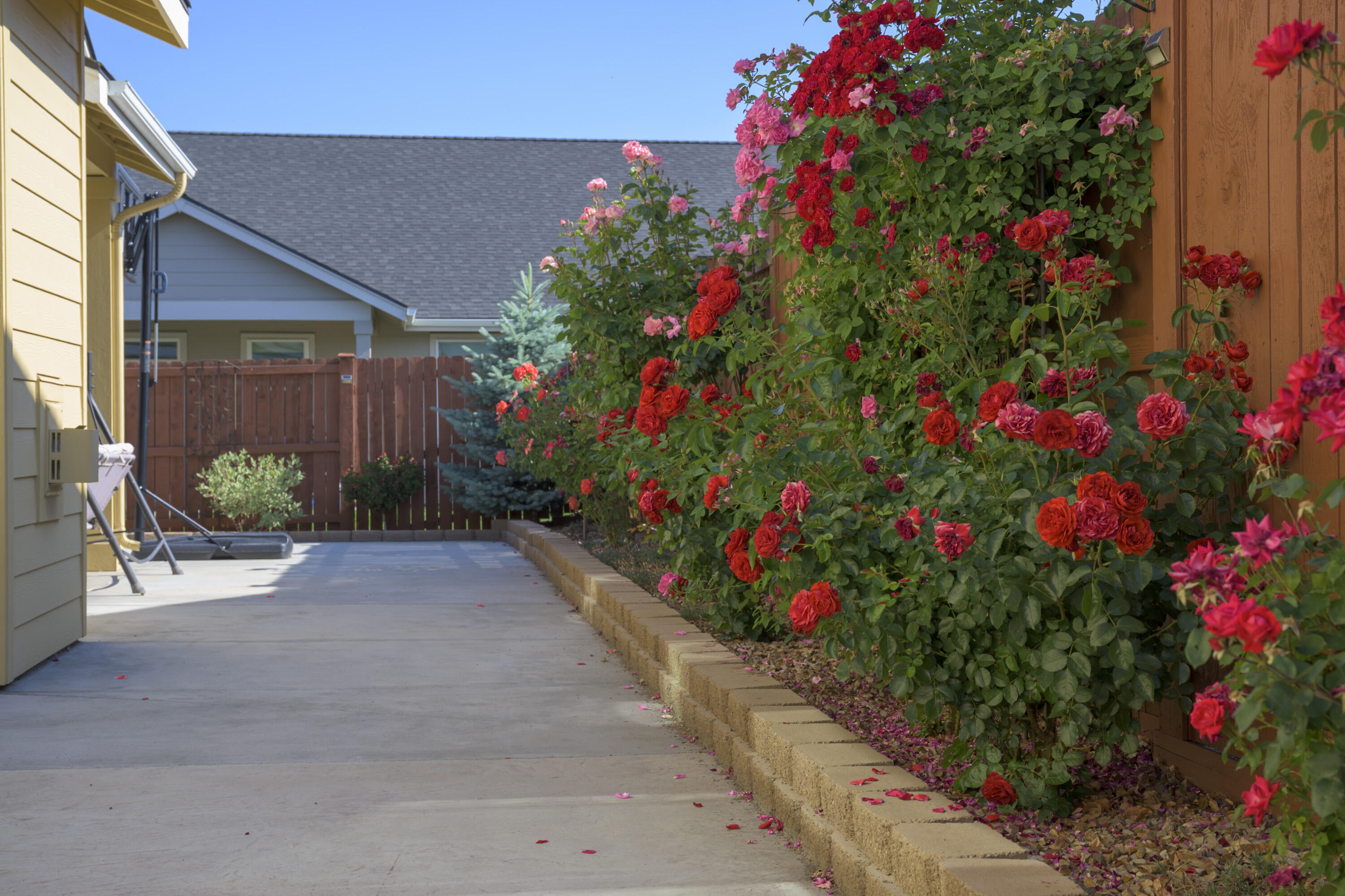 Megan Park - Residential