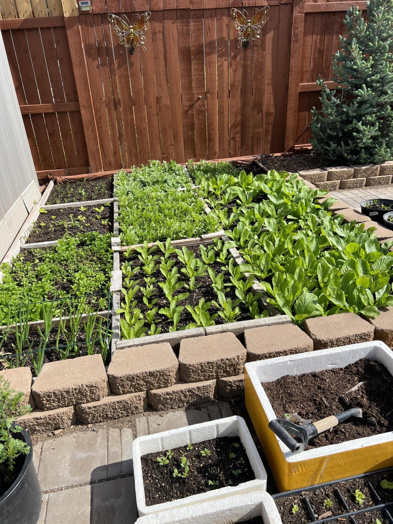 Megan Park - Residential