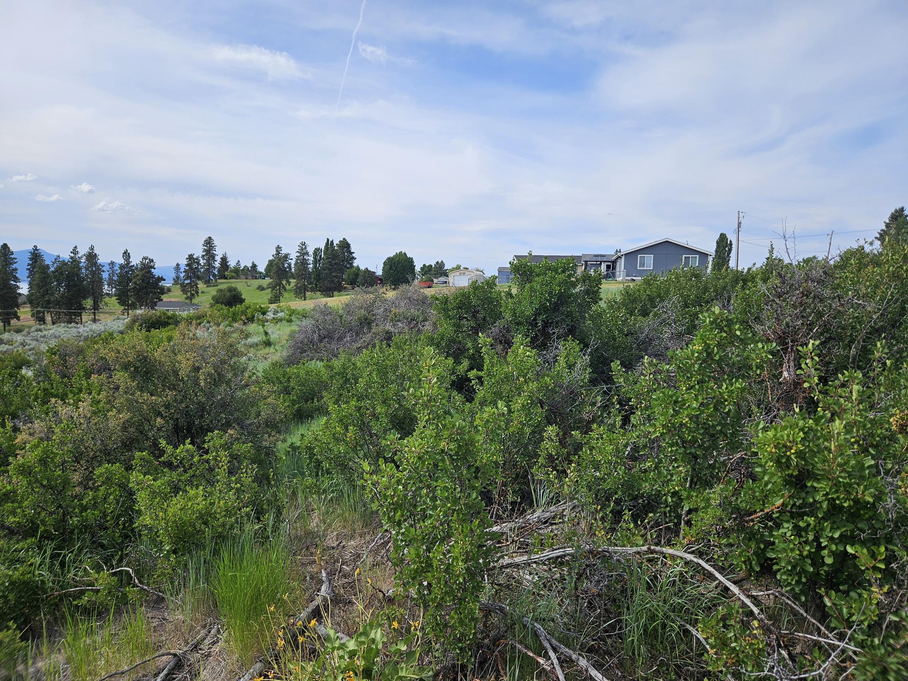 Oregon Shores - Land