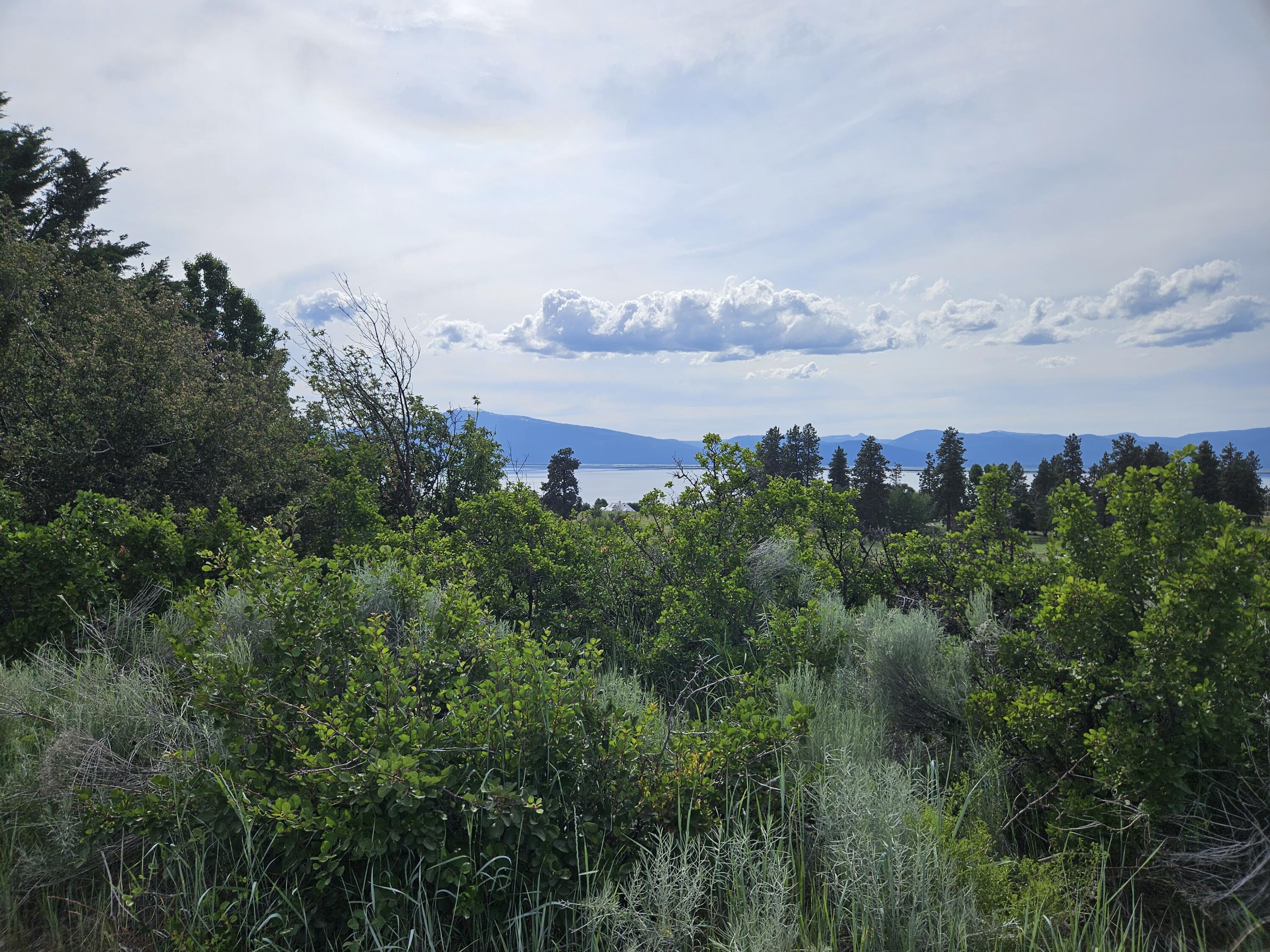 Oregon Shores - Land