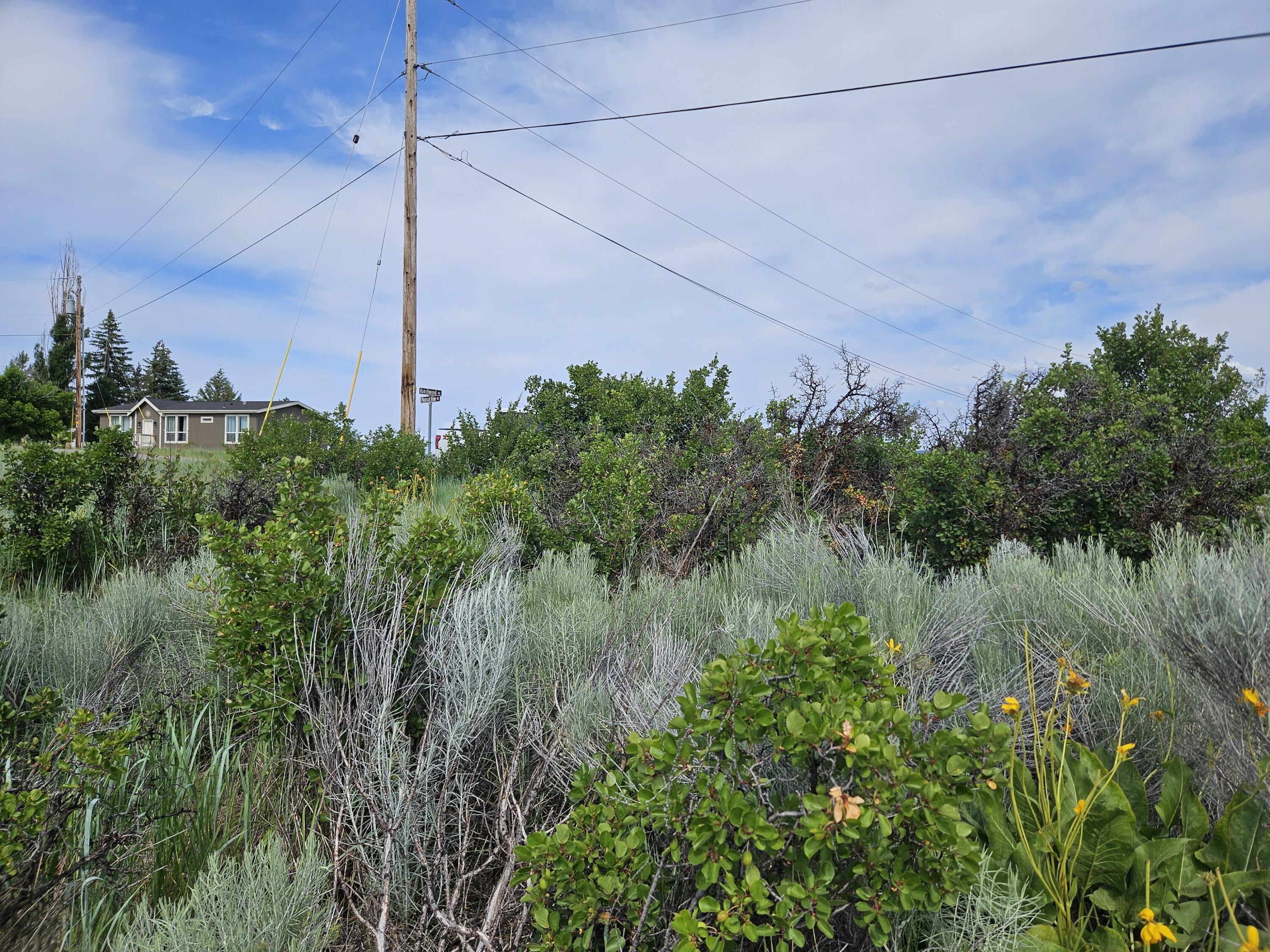 Oregon Shores - Land