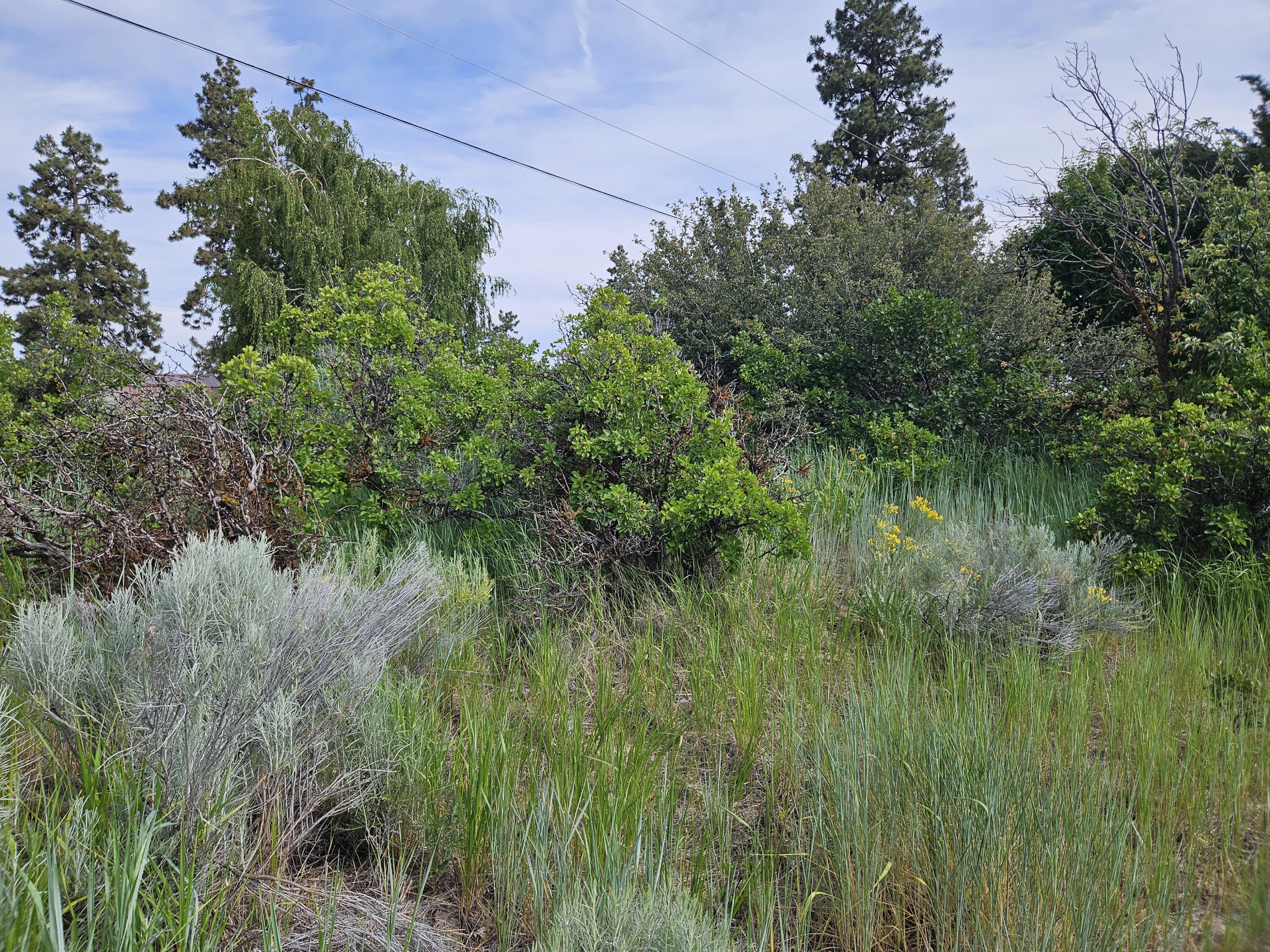 Oregon Shores - Land