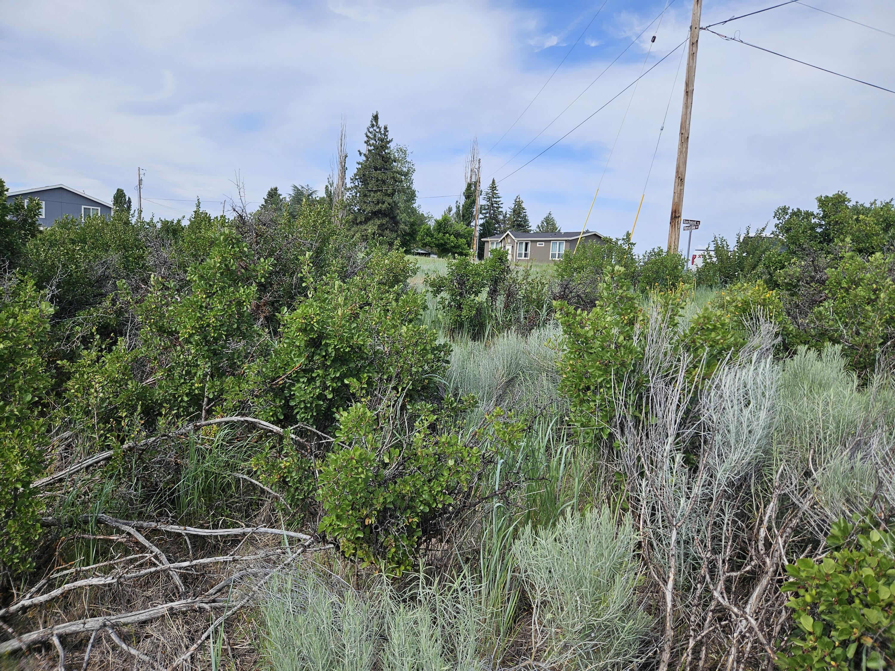 Oregon Shores - Land