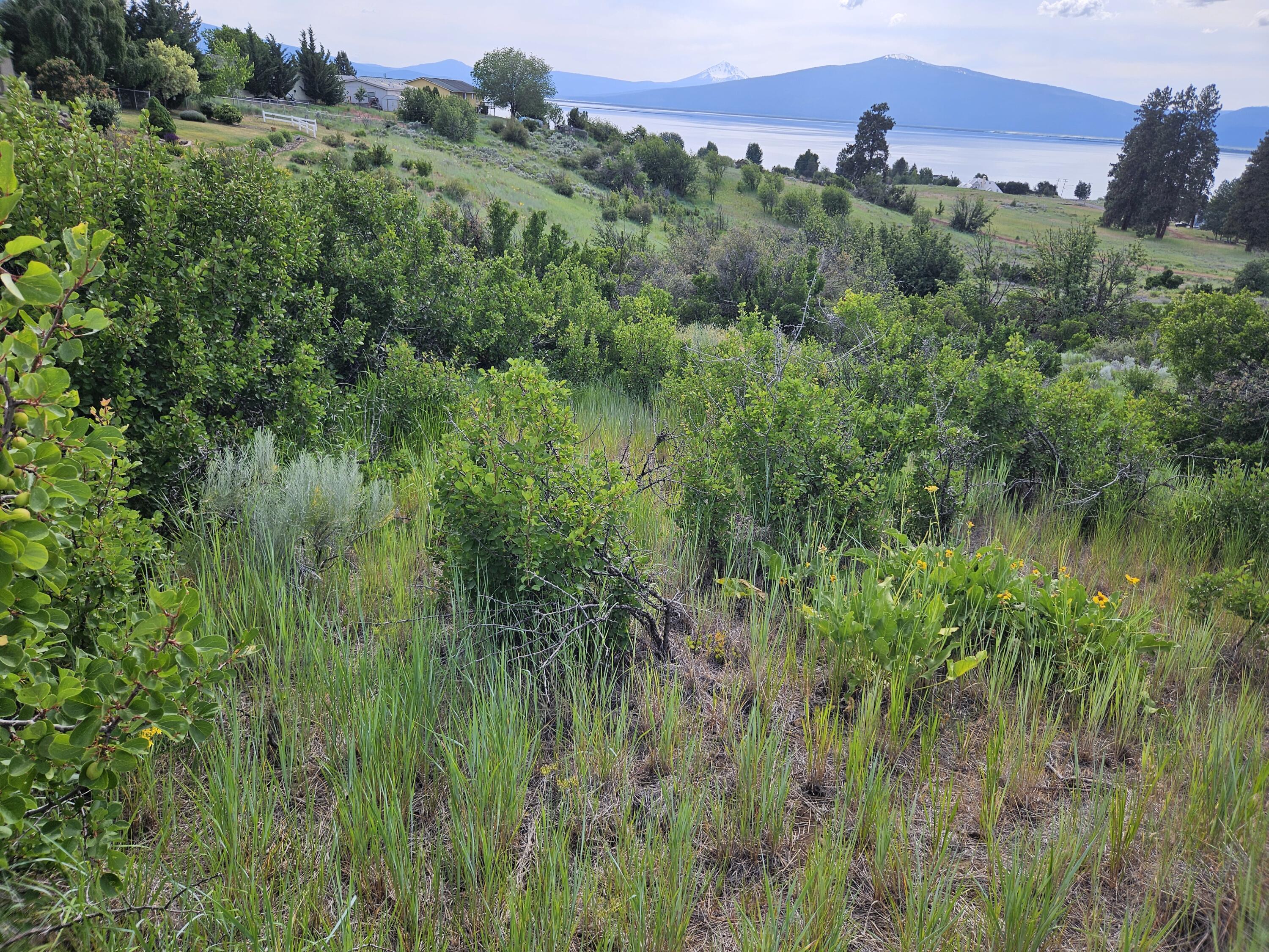 Oregon Shores - Land