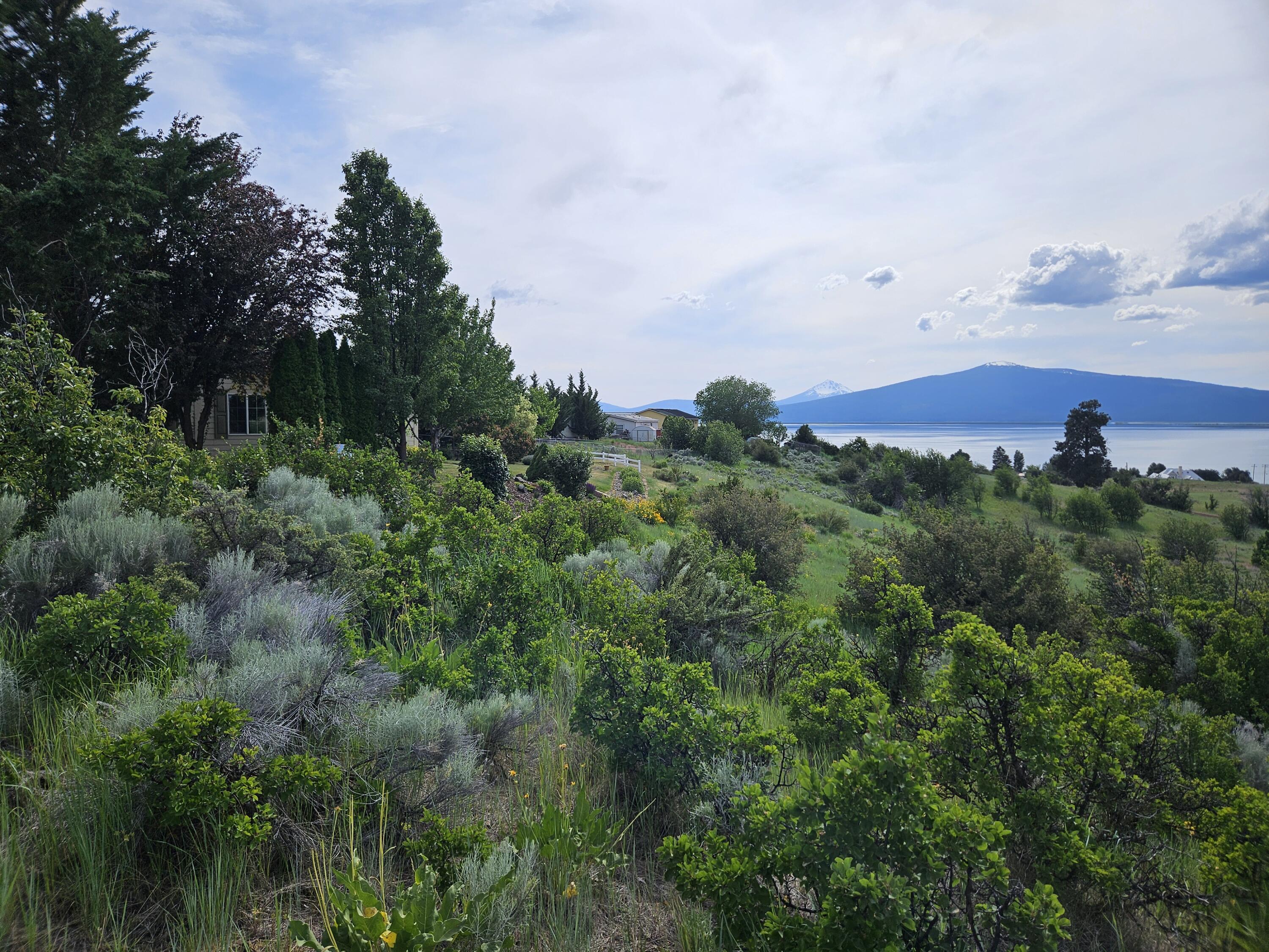 Oregon Shores - Land