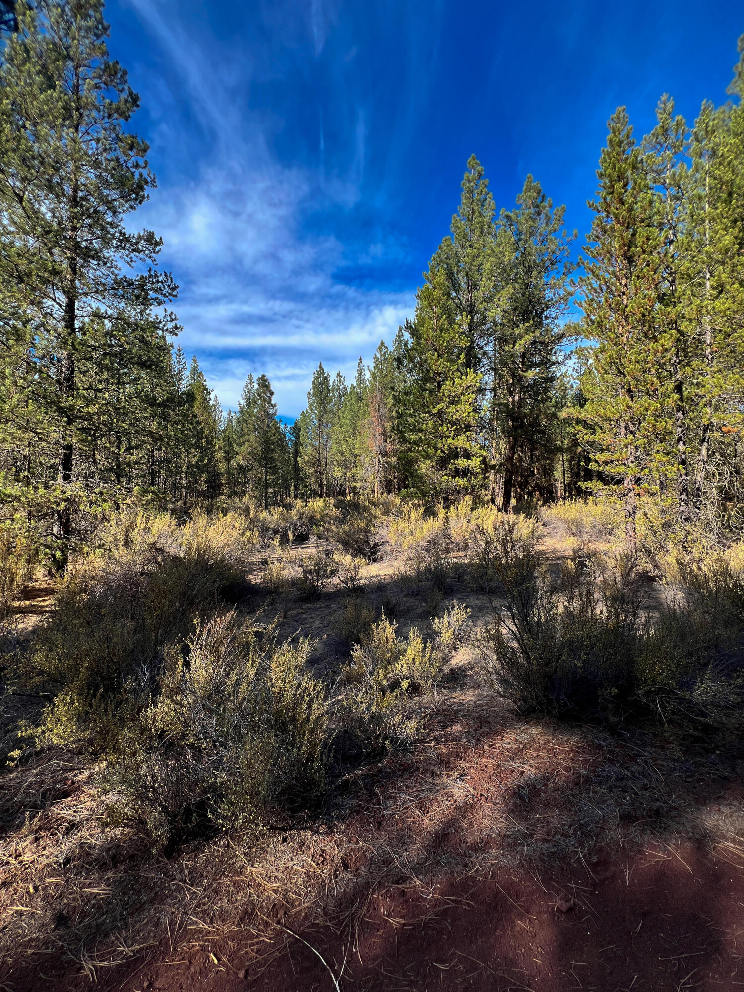 Sprague River Pines - Land