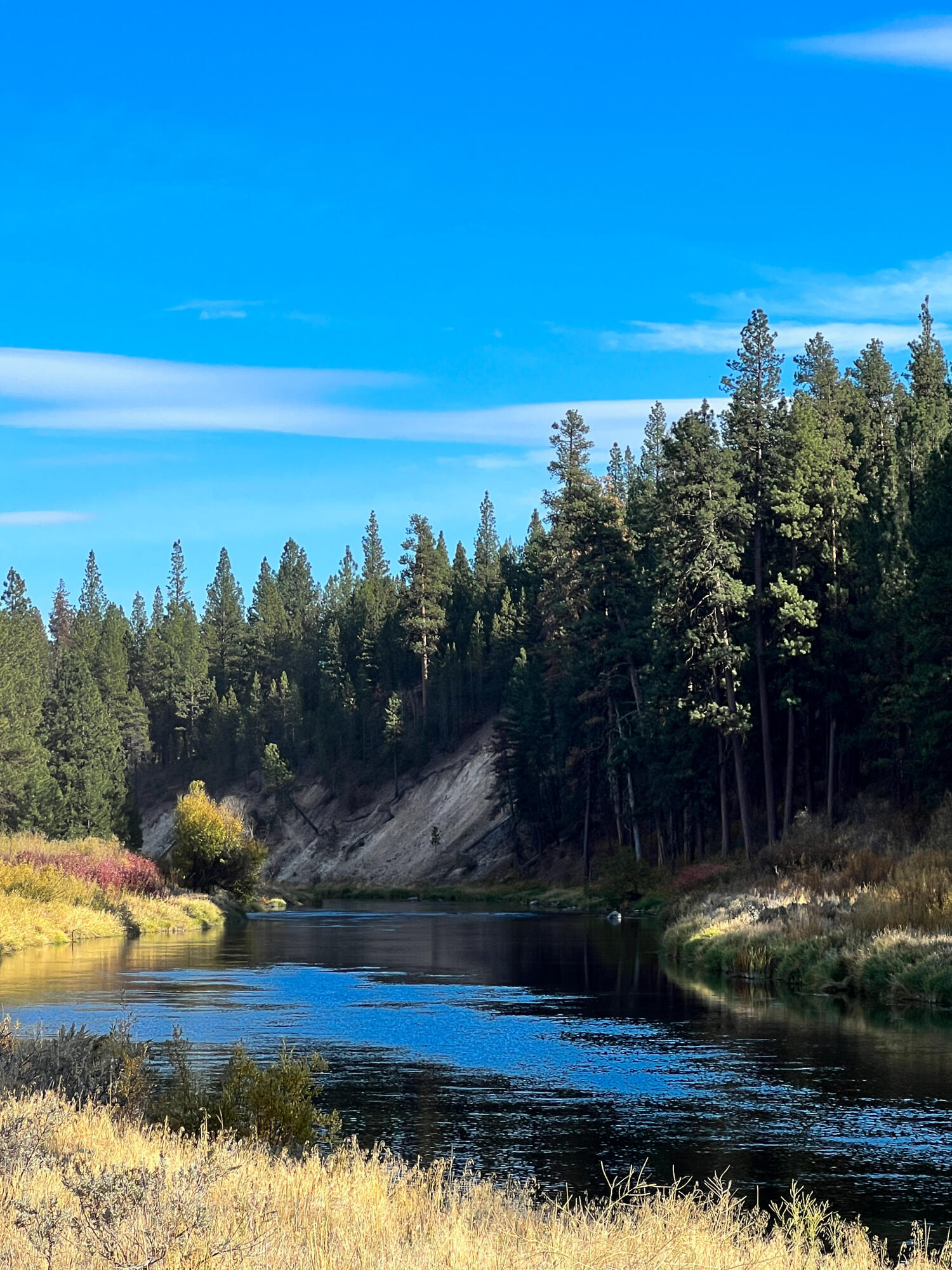 Sprague River Pines - Land
