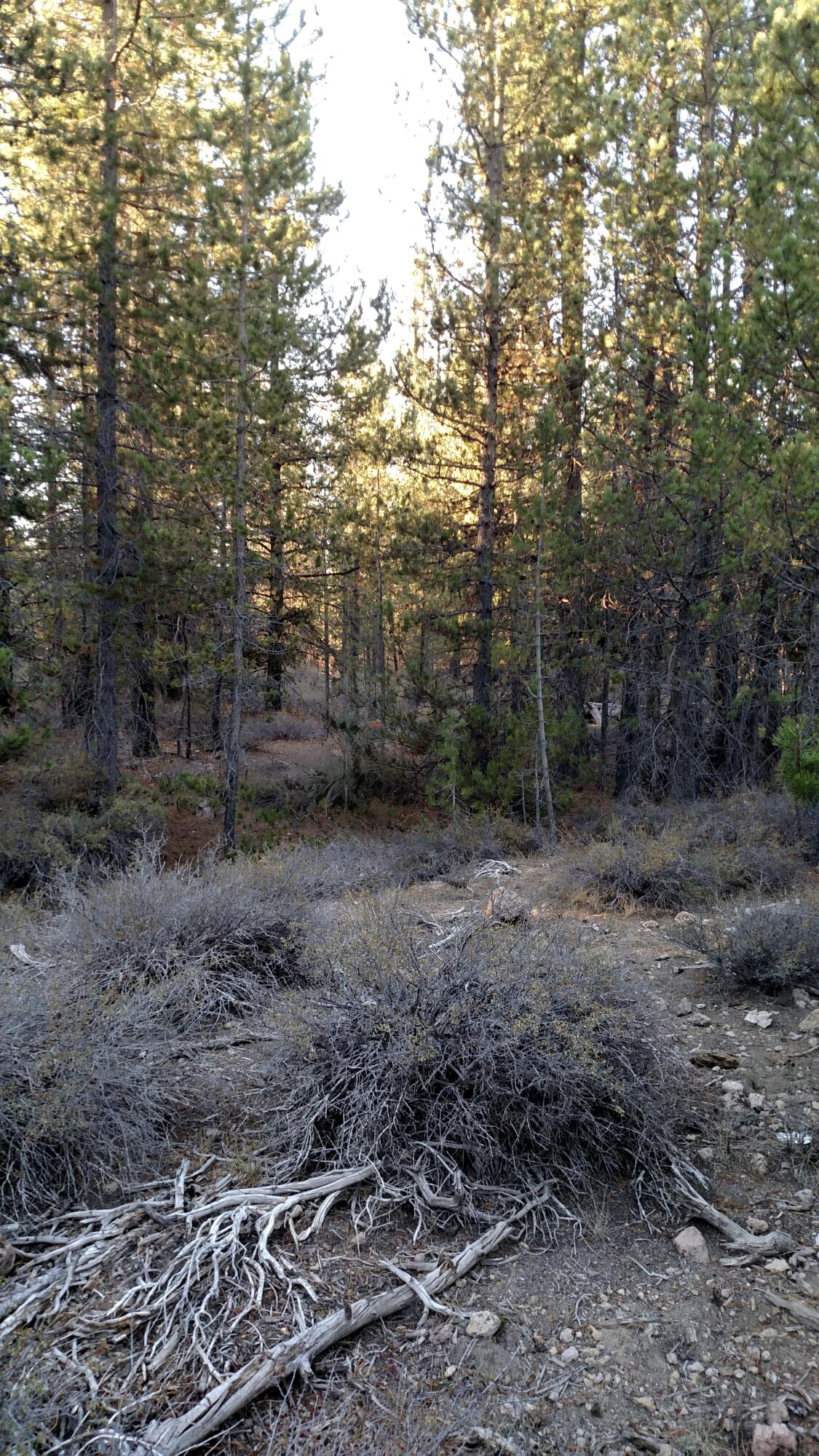 Klamath Country - Land